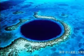关于维尼修斯每场比赛都会看后续来了的信息 关于维尼修斯每场比赛都会看后续来了的信息